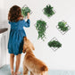 3D Wall Stickers - Plants (Pack Of 4)